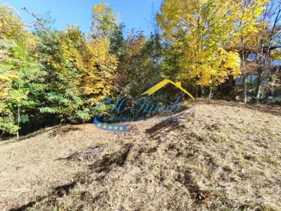 Teren Intravilan de Vanzare, Cornu - foto 6