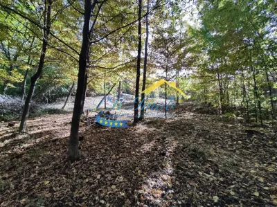 Teren Intravilan de Vanzare, Cornu - foto 8