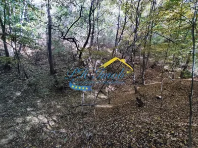 Teren Intravilan de Vanzare, Cornu - foto 9