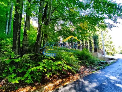 Teren Intravilan de Vanzare in Sinaia - Sinaia