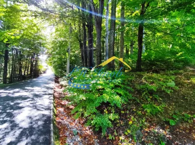 Teren Intravilan de Vanzare in Sinaia - foto 2