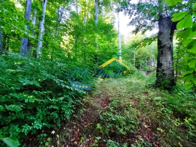 Teren Intravilan de Vanzare in Sinaia - foto 5