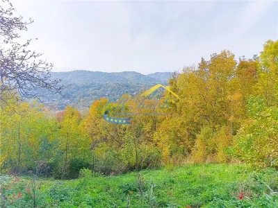 Casa de vanzare, Cornu de Jos Prahova - foto 8