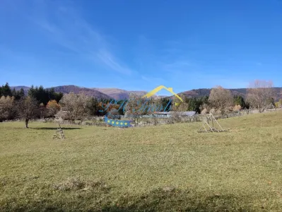 Teren Intravilan de vanzare, Valea Doftanei - foto 6