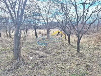 Teren intravilan de vanzare, Scorteni Mislea - foto 3