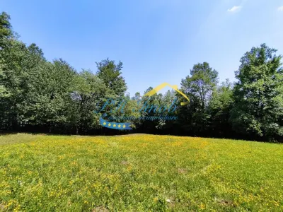 Teren intravilan de vanzare, Campina - foto 3