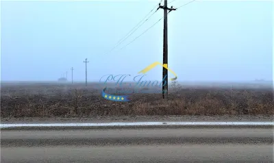 Teren extravilan de Vanzare, Targsoru Vechi - foto 1