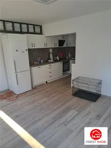 de vanzare casa 4 camere, 2 bai cu 400 mp teren, Panet, Mures - Panet