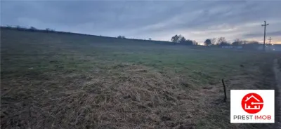 De vanzare teren 1,2 Ha in Laureni - Miercurea Nirajului