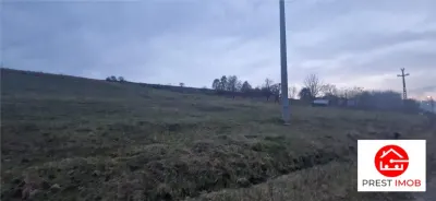 De vanzare teren 1,2 Ha in Laureni - foto 6