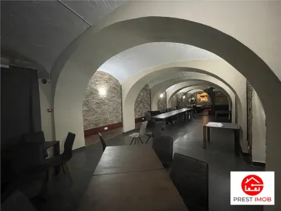De vanzare spatiu comercial zona ultra centrala 277 mp - foto 7
