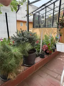Complexul Studentesc - 2 Camere + Curte - Amenajat - Centrala proprie - Mobilat si utilat - Decomandat - foto 11