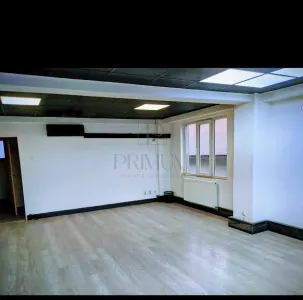Spatiu de birou - zona linistita - aer conditionat - 2 camere - 55 - Timisoara