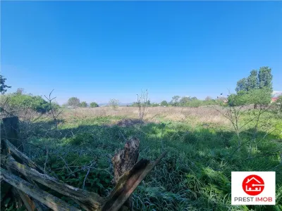 Teren intravilan de vanzare 14900 mp, 43m deschidere  Mureseni, Mures - foto 9