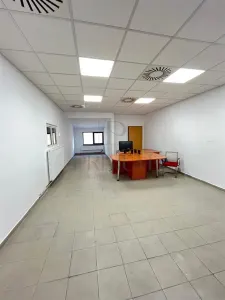 MIRCEA CEL BATRAN - CASA INDIVIDUALA + TEREN GENEROS - SAD - INVESTITIE UNICA - foto 6
