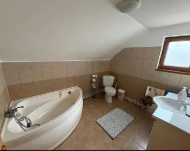 Sanmihaiul Roman- mobilata si utilata- toate utilitatile - foto 8