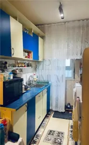 Apartament 1 camera-Centrala-Buziasului-Acoperis - foto 3