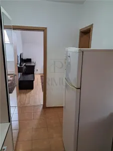 Apartament 1 camera-Centrala-Ac-Buziasului - Timisoara