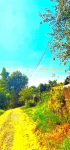 Teren 1486mp.D=50m.cu casa 3 camere locuibila, Tulcea-Somova-Mineri - foto 9