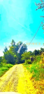 Teren 1486mp.D=50m.cu casa 3 camere locuibila, Tulcea-Somova-Mineri - foto 10