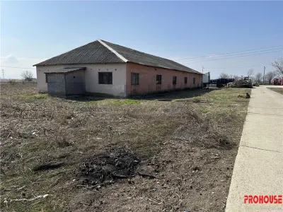 Letea Veche - Radomiresti - Hala 409 - teren 4.650mp - foto 2