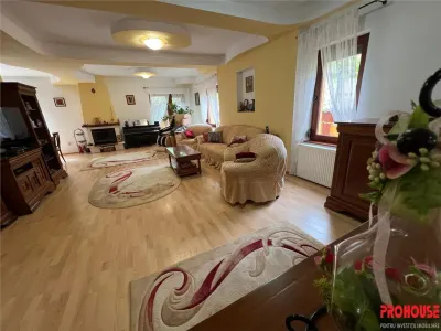 Proprietate deosebita de vanzare in centrul Bacaului- eleganta, istorie si investitie intr-o singura vila! - foto 16