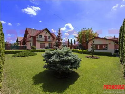 Domeniu superb - vila S+P+M si teren - Bacau