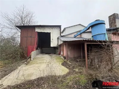 Hale industriale de inchiriat cu platforma betonata de 10.424mp - Șerbanesti - foto 5