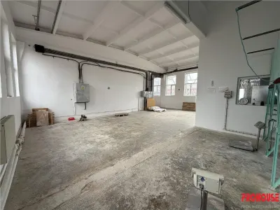 Hale industriale de inchiriat cu platforma betonata de 10.424mp - Șerbanesti - foto 6
