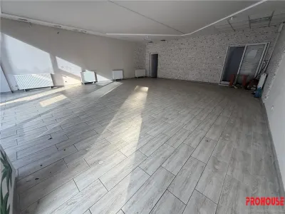 Orizont - spatiu comercial stradal 87mp - foto 8