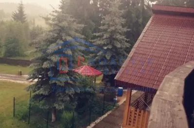 Cabana/ Afacere la Cheie, Neagra Sarului C-5172 - foto 12
