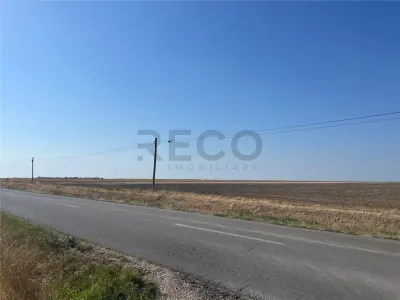 RECO Teren extravilan cu acces  la drumul Oradea-Livada de Bihor - foto 10