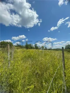 RECO Teren Extravilan Podgoria Oradea - foto 3