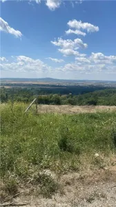 RECO Teren Extravilan Podgoria Oradea - foto 5