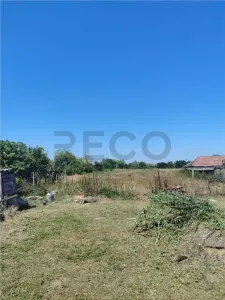 RECO Teren intravilan in Paleu la doar  22euro/mp - Paleu