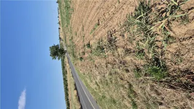 Reco Teren Extravilan Episcopia aproape de Remarkt - foto 5