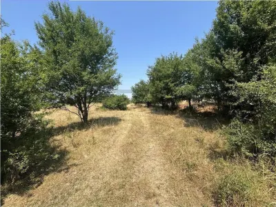 RECO Teren intravilan Tileagd 2337 mp - foto 2
