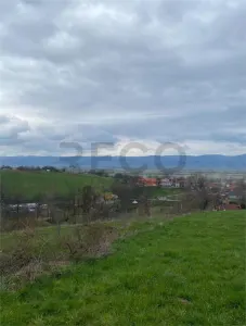 RECO Teren intravilan 4669 mp Dobricionesti cu o priveliste frumoasa - Dobricionesti