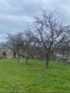 RECO Teren intravilan 4669 mp Dobricionesti cu o priveliste frumoasa - foto 3
