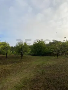 Reco Teren intravilan zona Mini Paradis - Fughiu