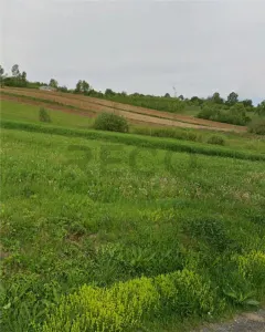 Reco Teren intravilan zona Mini Paradis - foto 4