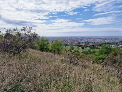 RECO Teren  intravilan- panorama asupra orasului -str. Caisilor - foto 14