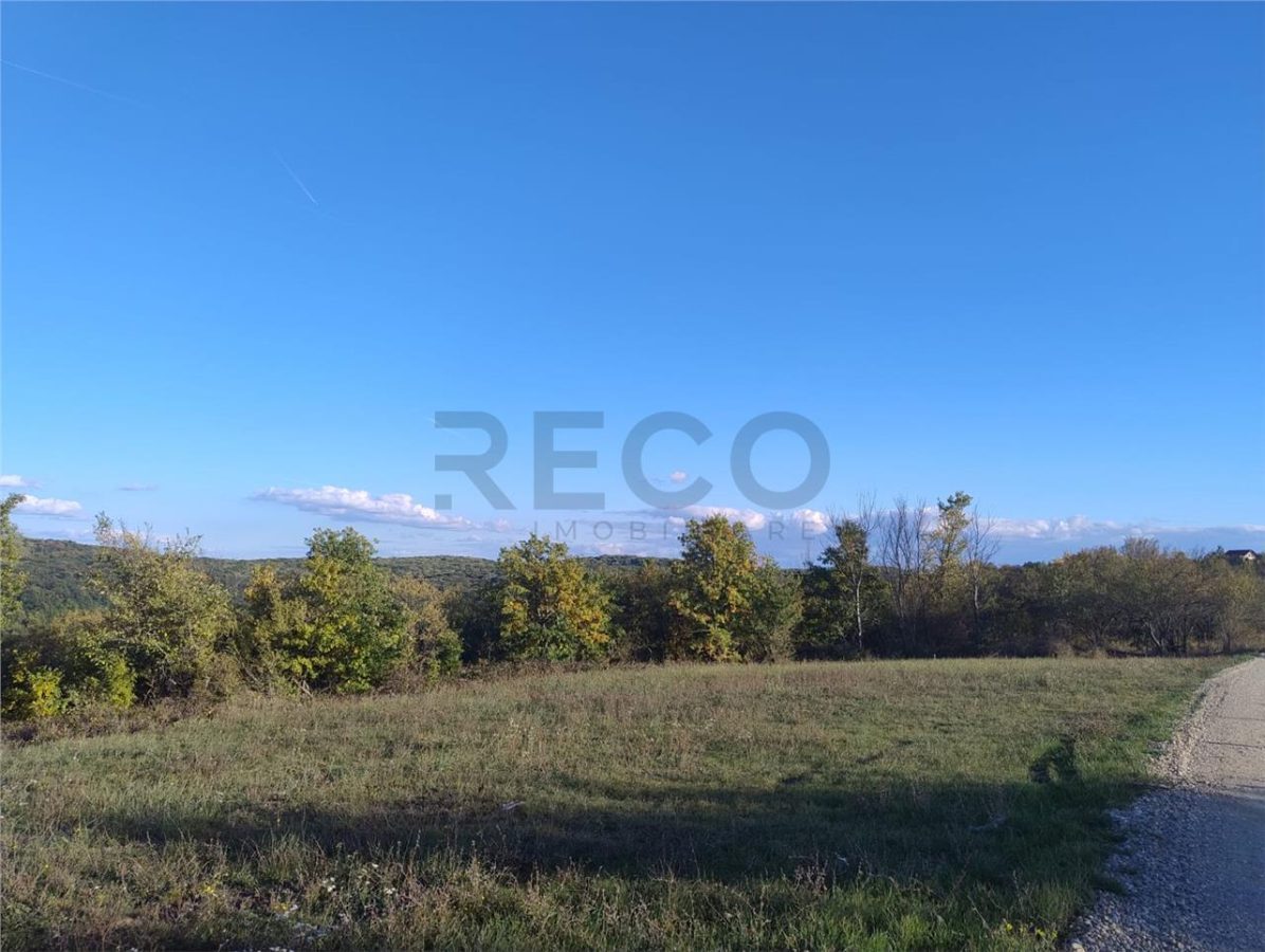 PECO Teren intravilan Saldabagiu De Munte - Saldabagiu de Munte
