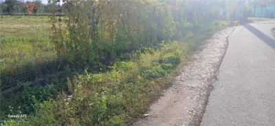 Teren intravilan Biharia - foto 2
