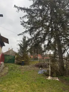RECO casa de vanzare - foto 22