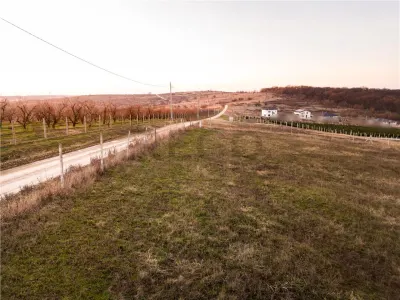 RECO Teren intravilan in Saldabagiu de Munte - foto 10