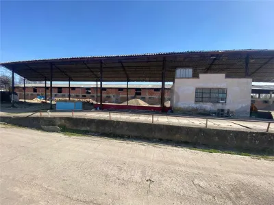 RECO hale cu teren generos Salonta - foto 3