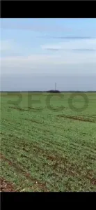 RECO Teren extravilan, zona Industriala in Livada de Bihor - Livada de Bihor