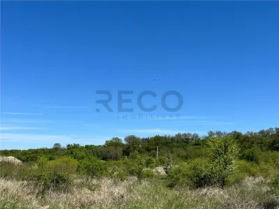 RECO teren intravilan Sanmartin - Sanmartin