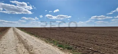 RECO Teren extravilan in Oradea 13000mp - foto 2